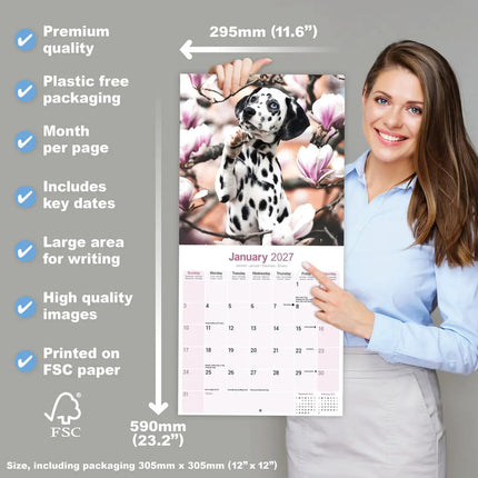 Avonside Dalmatier Puppies Kalender 2027