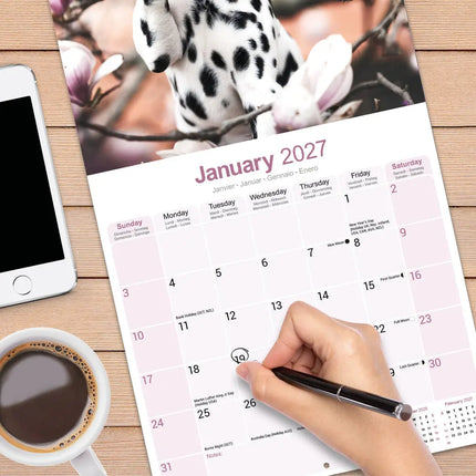 Avonside Dalmatier Puppies Kalender 2027