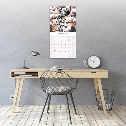 Avonside Dalmatier Puppies Kalender 2027