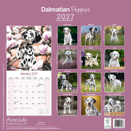Avonside Dalmatier Puppies Kalender 2027