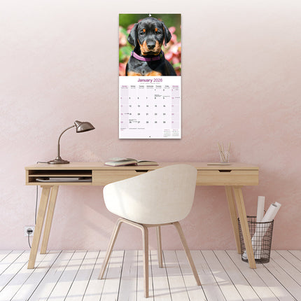Avonside Dobermann Kalender 2026