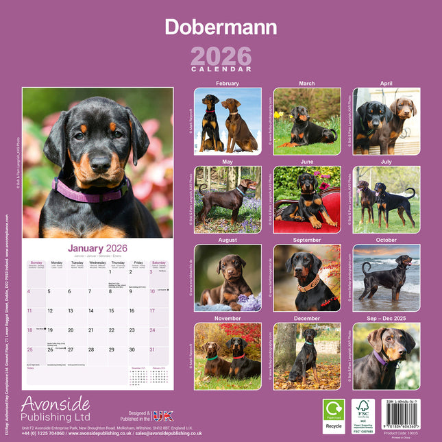 Avonside Dobermann Kalender 2026