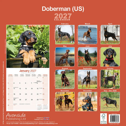 Avonside Dobermann Kalender 2027