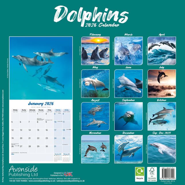 Avonside Dolfijnen Kalender 2026