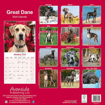 Avonside Duitse Dog Kalender 2025 (euro)