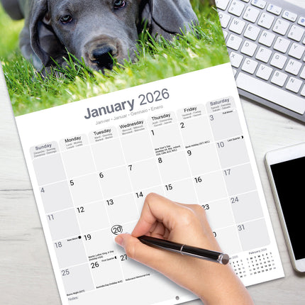 Avonside Duitse Dog Kalender 2026