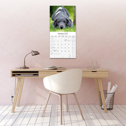Avonside Duitse Dog Kalender 2026