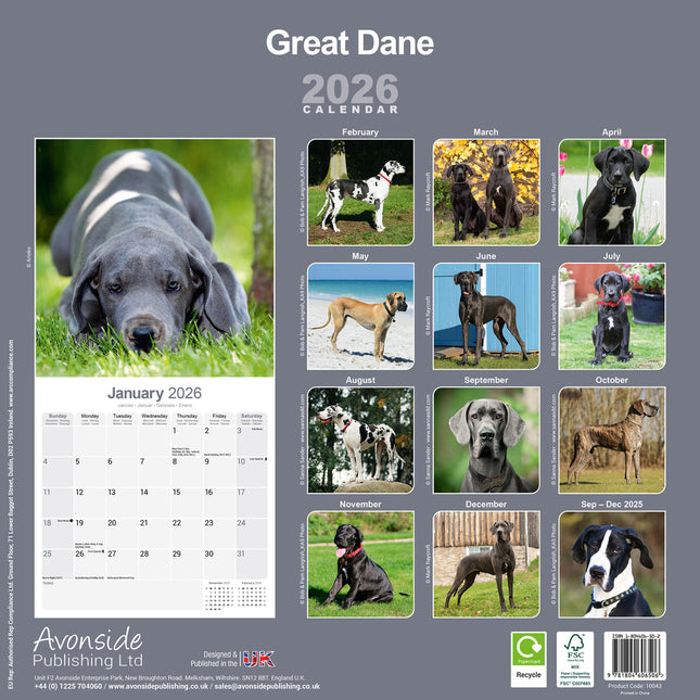 Avonside Duitse Dog Kalender 2026