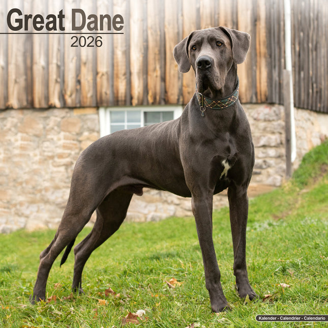 Avonside Duitse Dog Kalender 2026