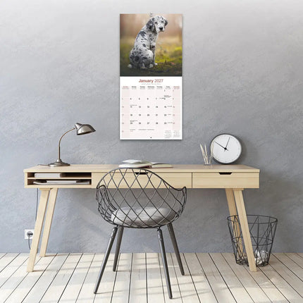 Avonside Duitse Dog Kalender 2027