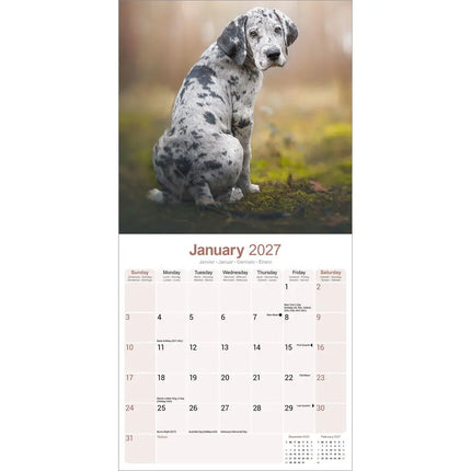 Avonside Duitse Dog Kalender 2027