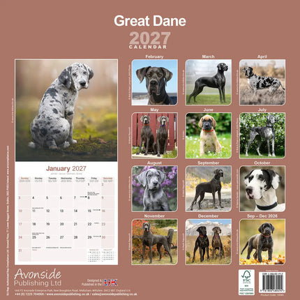 Avonside Duitse Dog Kalender 2027