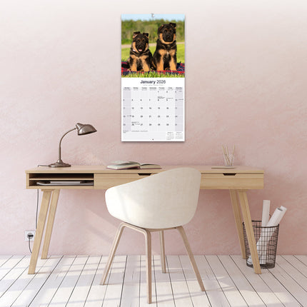 Avonside Duitse Herder Kalender 2026