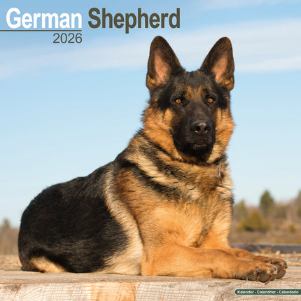 Avonside Duitse Herder Kalender 2026