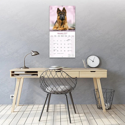 Avonside Duitse Herder Kalender 2027