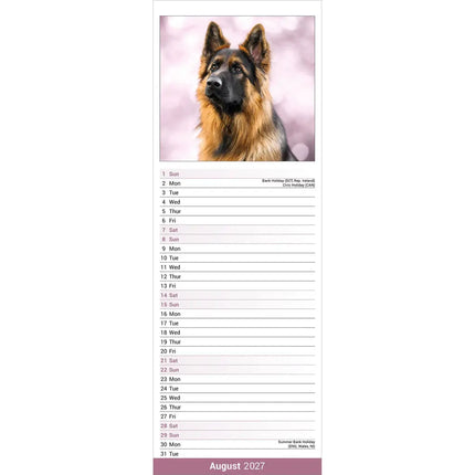 Avonside Duitse Herder Kalender 2027 Slimline
