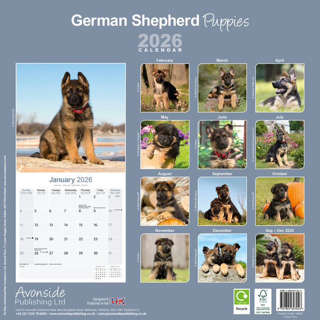 Avonside Duitse Herder Puppies Kalender 2026
