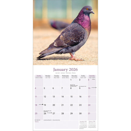 Avonside Duiven Kalender 2026
