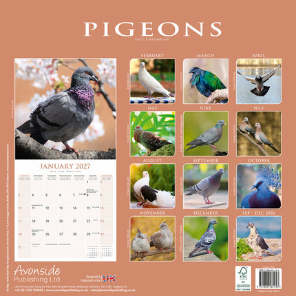 Avonside Duiven Kalender 2027