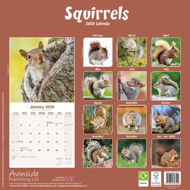 Avonside Eekhoorn Kalender 2026