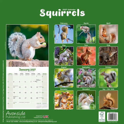 Avonside Eekhoorn Kalender 2027