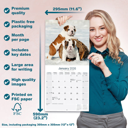 Avonside Engelse Bulldog Kalender 2026