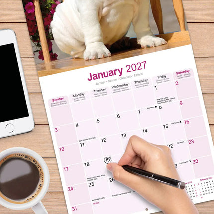 Avonside Engelse Bulldog Kalender 2027