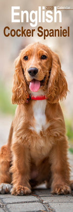 Avonside Engelse Cocker Spaniel Kalender 2025 Slimline