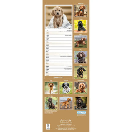 Avonside Engelse Cocker Spaniel Kalender 2027 Slimline