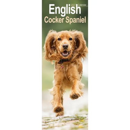 Avonside Engelse Cocker Spaniel Kalender 2027 Slimline