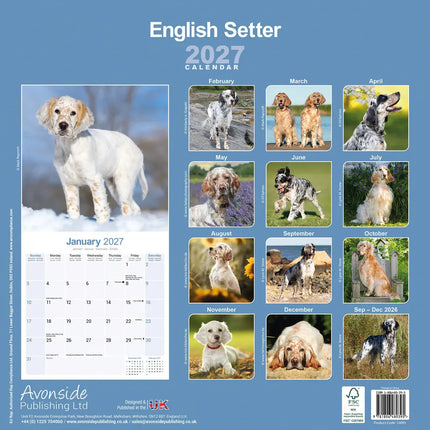 Avonside Engelse Setter Kalender 2027