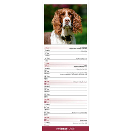 Avonside Engelse Springer Spaniel Kalender 2026 Slimline