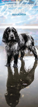 Avonside Engelse Springer Spaniel Kalender 2026 Slimline
