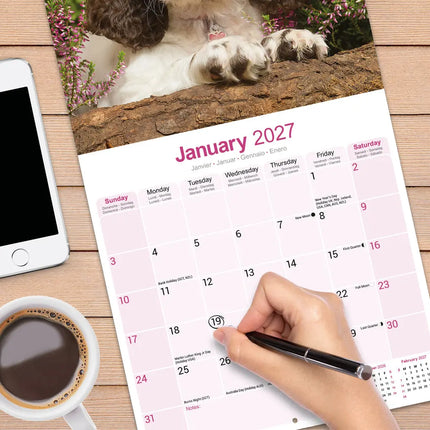 Avonside Engelse Springer Spaniel Kalender 2027
