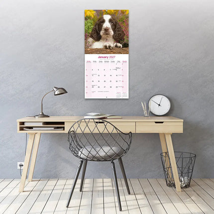 Avonside Engelse Springer Spaniel Kalender 2027