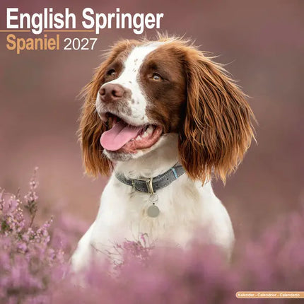 Avonside Engelse Springer Spaniel Kalender 2027