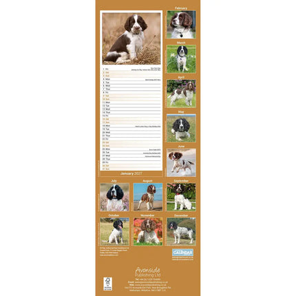Avonside Engelse Springer Spaniel Kalender 2027 Slimline