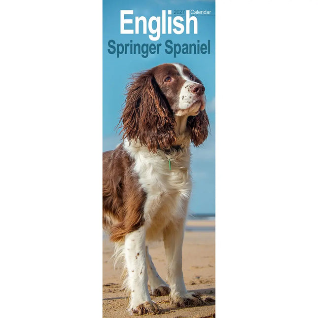 Avonside Engelse Springer Spaniel Kalender 2027 Slimline