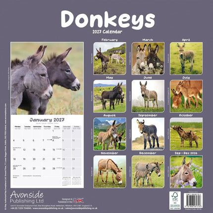 Avonside Ezel Kalender 2027