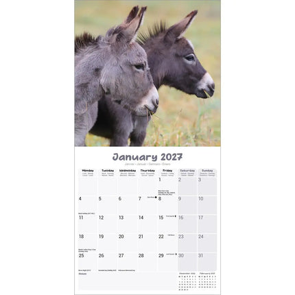 Avonside Ezel Kalender 2027