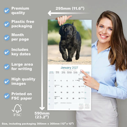 Avonside Flatcoated Retriever Kalender 2027