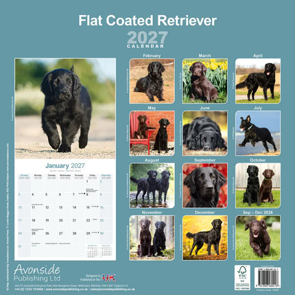 Avonside Flatcoated Retriever Kalender 2027