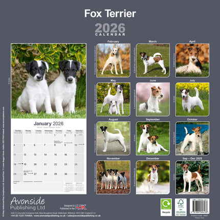 Avonside Fox Terrier Kalender 2026