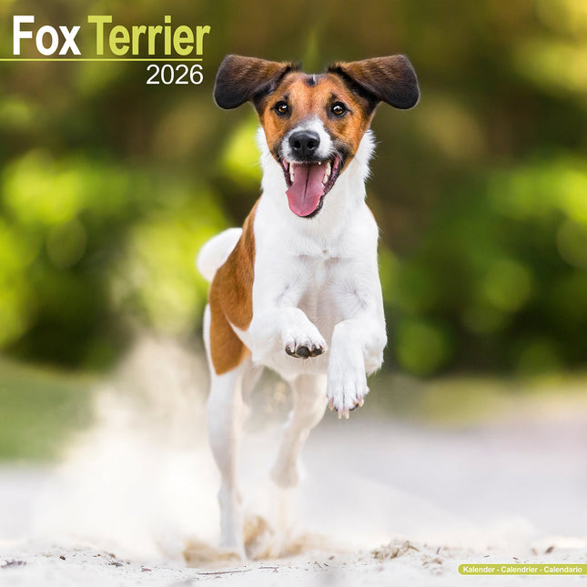 Avonside Fox Terrier Kalender 2026
