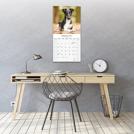 Avonside Fox Terrier Kalender 2027