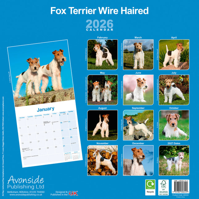 Avonside Fox Terrier Ruwhaar Kalender 2026