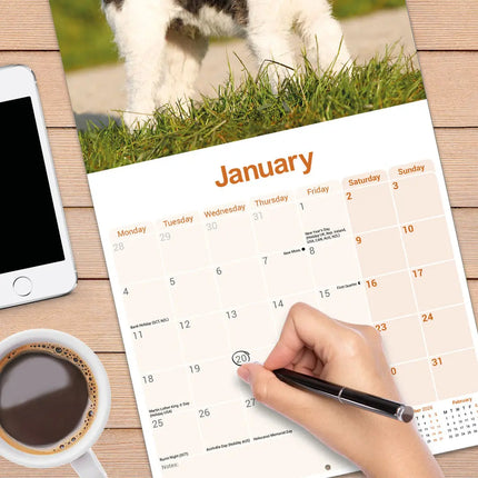 Avonside Fox Terrier Ruwhaar Kalender 2027