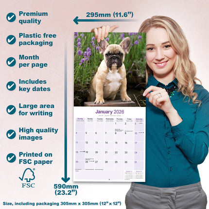 Avonside Franse Bulldog Kalender 2027