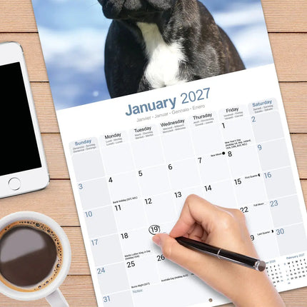 Avonside Franse Bulldog Kalender 2027