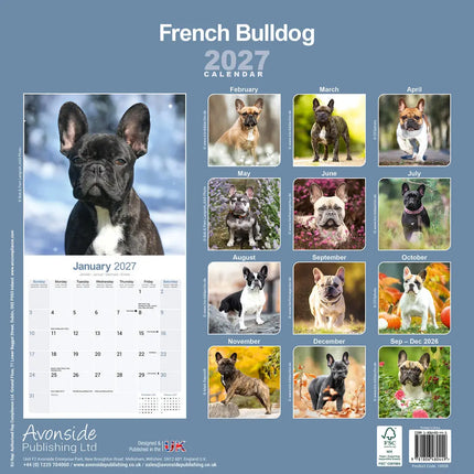 Avonside Franse Bulldog Kalender 2027